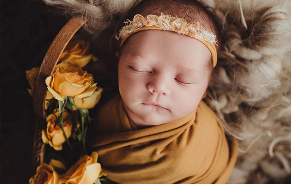 摄影照片编辑教程-Twig & Olive’s Editing Academy