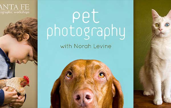 宠物摄影拍摄视频教程-Pet Photography with Norah Levine