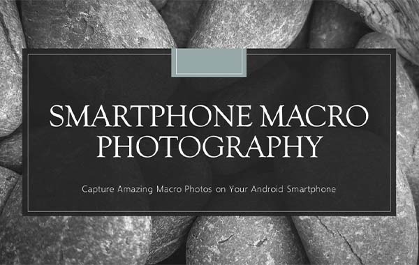 如何用智能手机拍出精彩的微距照片-How to Take Amazing Macro Photos with Your Smartphone with Kelly Theresa