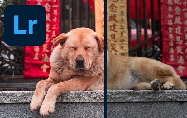 Adobe Lightroom CC编辑完整流程视频教程-Editing with Adobe Lightroom CC – Complete Guide from Start to Finish with Mostafa Nassar