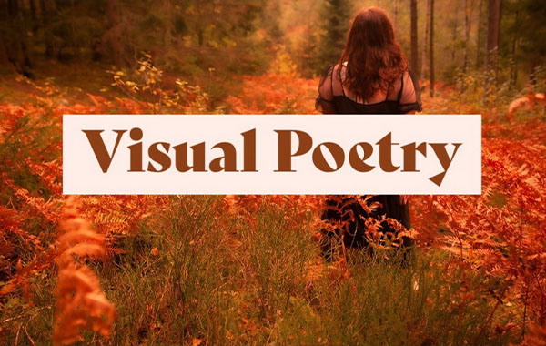 视觉诗歌:以有趣,有意义的方式创作个人自画像和诗歌-Visual Poetry: Create a Personal Self Portrait and Poem in a Fun, Meaningful Way by Jessica Agert