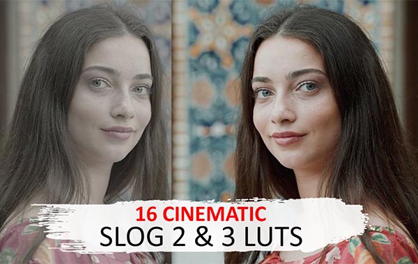 Cinematic Luts (Slog2 & Slog3)
