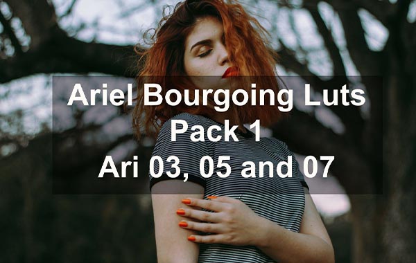 Ariel Bourgoing Luts Pack