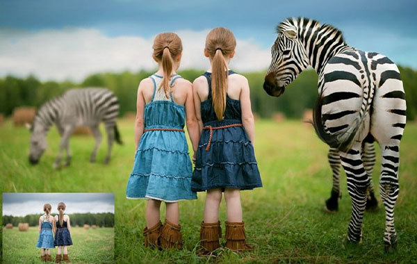 创意照片合成视频教程-Summerana – Creating Animal Composites