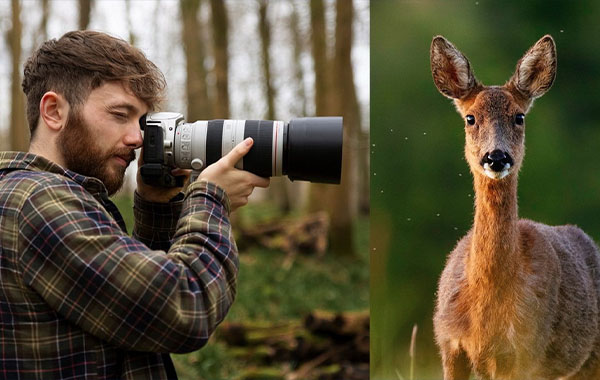 野生动物摄影:如何拍摄迷人的动物照片-Wildlife Photography: How to Take Captivating Animal Portraits with Reuben Clarke