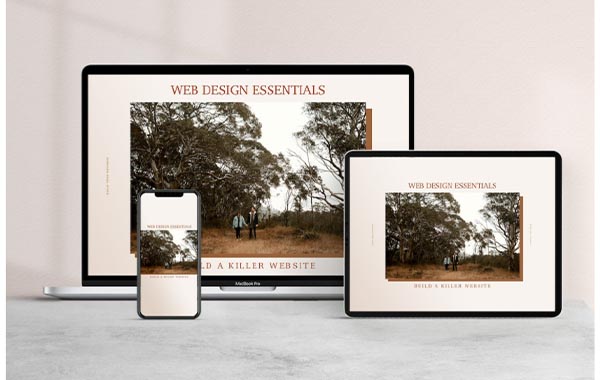 网页设计基本知识原理视频教程-Signature Edits – Web Design Essentials For Photographers
