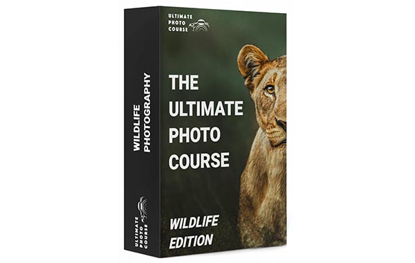 野生动物摄影拍摄高级视频教程-The Ultimate Wildlife Photography Bundle by Chase Teron