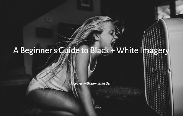黑白摄影初学者入门视频教程-A Beginner’s Guide to Black + White Imagery with Samantha Dell