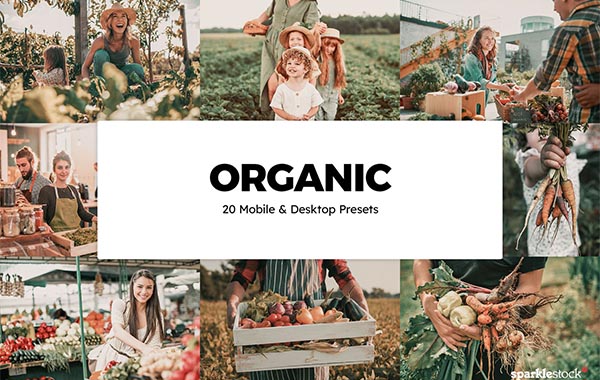 20 Organic Lightroom Presets & LUTs