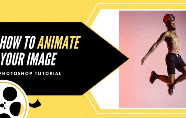 How to Animate Your Images with Bee Trofort