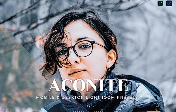 Aconite Mobile and Desktop Lightroom Presets