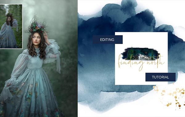Finding North – Fox and Gem Photography