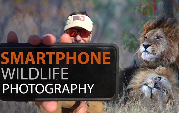 INSTAgramable Wildlife Photography On Your SMARTphone with Kevin Holroyd