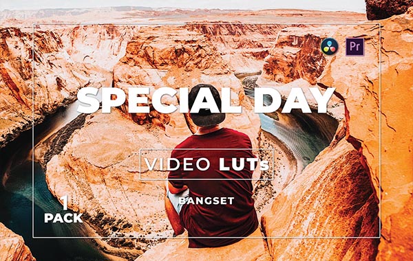 Bangset Special Day Pack 1 Video LUTs