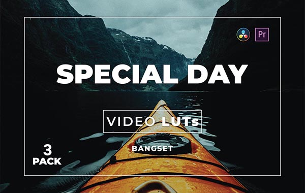Bangset Special Day Pack 3 Video LUTs