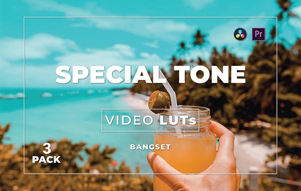 Bangset Special Tone Pack 3 视频 LUT