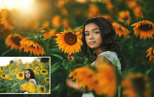 Sunflower Edit Video by Lindsey Gutierrez