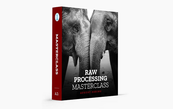 RAW Processing Masterclass by August Dering
