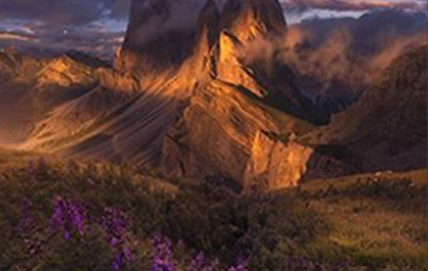 Purple Poison Course by Ted Gore
