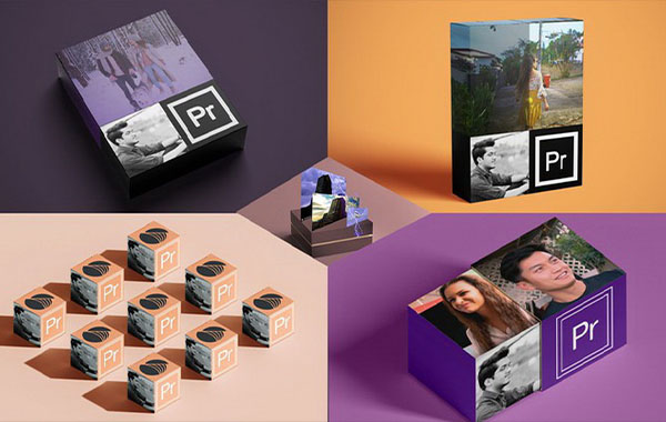 Video Editing In Adobe Premiere Pro Mega Pack 5 Course In 1