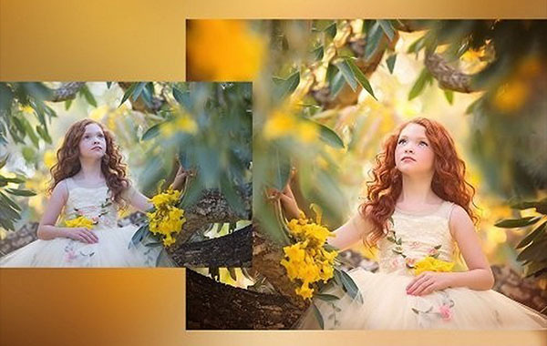 The Art of Editing Video 2 by Sandra Bianco Photography