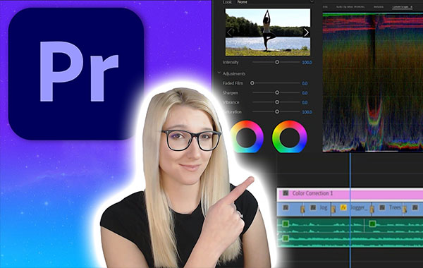 Learn Video Editing (Premiere Pro) in 1 Hour with Shann0n