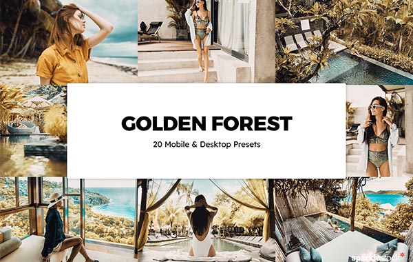 20 Golden Forest Lightroom Presets & LUTs