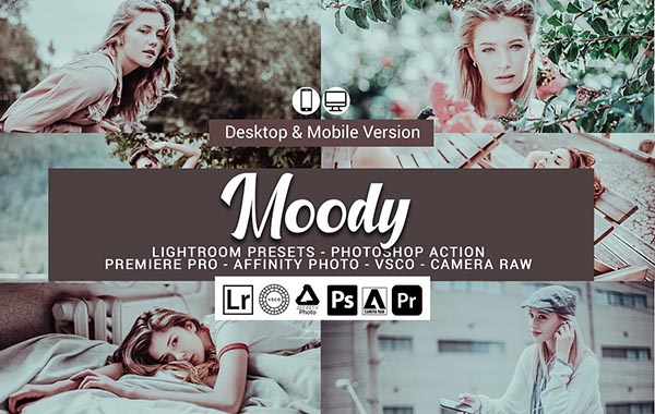 Moody Lightroom Presets