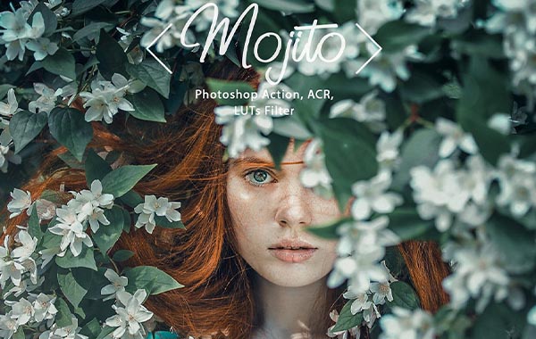 户外清新复古灰绿色PS/PR/AE/FCPX 达芬奇LUTS视频滤镜-8 Photoshop Actions ACR LUT Mojito