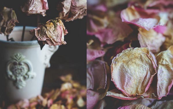 Still Life Photography: Creating A Dark & Moody with Flower Setup