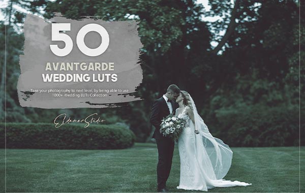 50 Avantgarde Wedding LUTs Pack