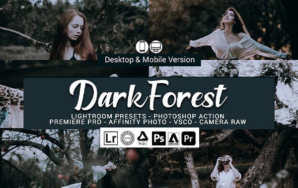 Dark Forest Lightroom Presets