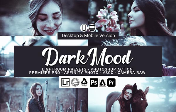 Dark Mood Lightroom Presets and LUTs
