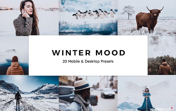 20 Winter Mood Lightroom Presets