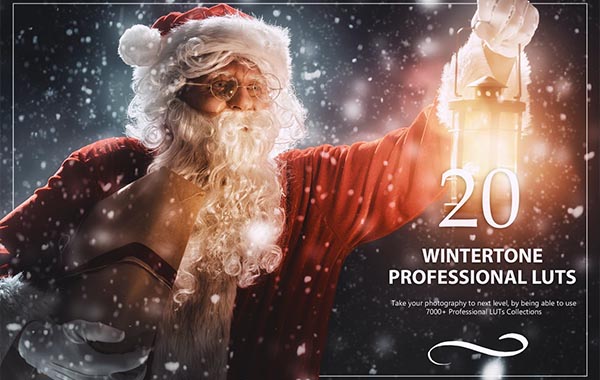 20 Wintertone LUTs Pack