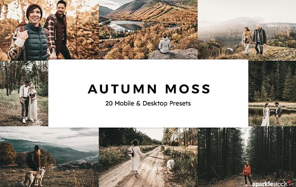 20 Autumn Moss Lightroom Presets