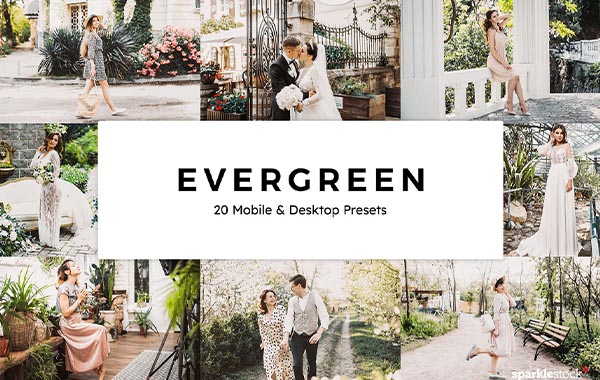 20 Evergreen Lightroom Presets LUT