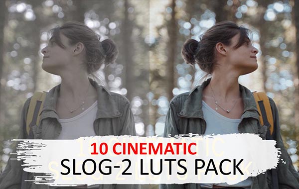 10 Cinematic Slog-2 Luts