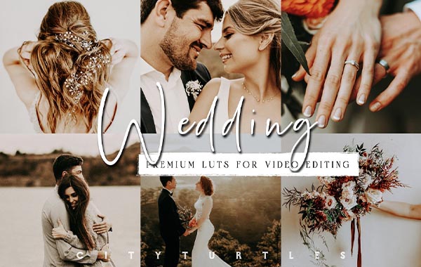Moody Wedding LUTs for Video Editing