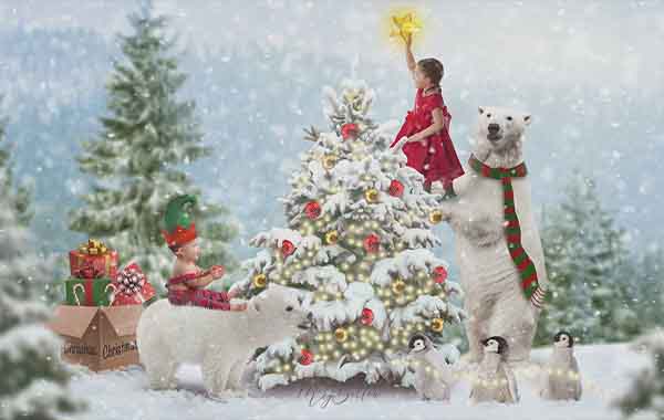 Forest Holiday with Shawna Pearce