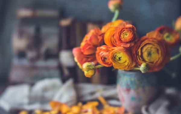 Pushing The Boundaries With Unconventional Lenses In Your Photography with DENISE LOVE