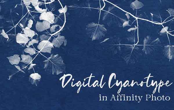 Digital Cyanotypes in Affinity Photo | A Quick Tip Class with Tracey Capone