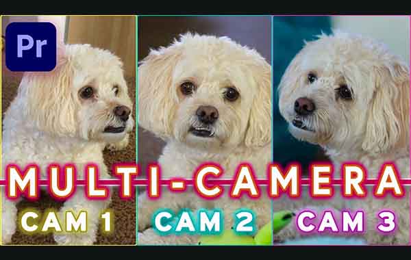 Edit Multiple Cameras Easily in Premiere Pro Using Multicam with Scott Luu