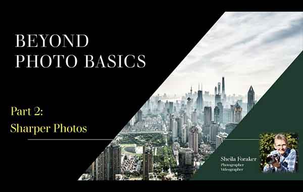 Beyond Photo Basics: Sharper Photos with Sheila Foraker
