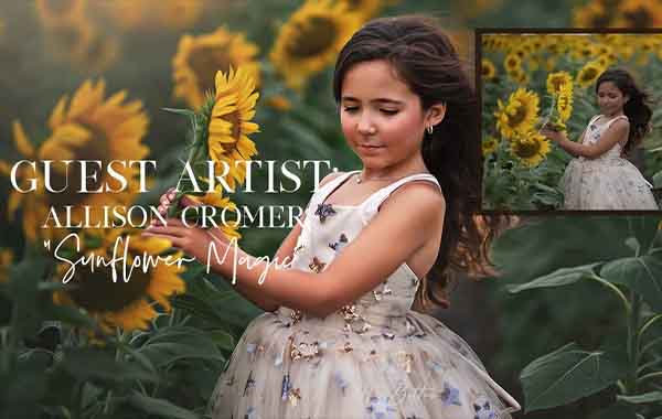 Meg Bitton Live – Sunflower Magic
