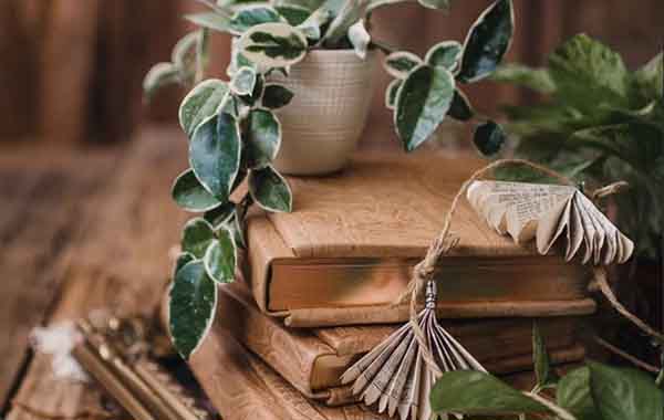 Digital Hybrid Model | Feature by Twig and Olive