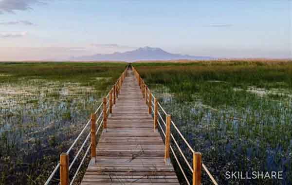 Smartphone Photography: Capturing Landscapes with Tim Landis