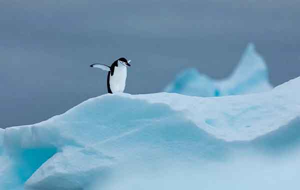 Minimalist Photography by Curtis Jones